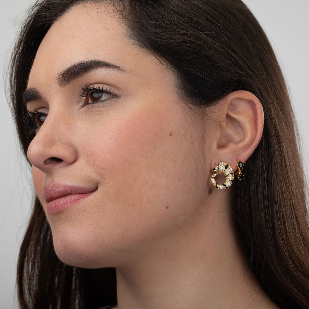 Pendientes zebra