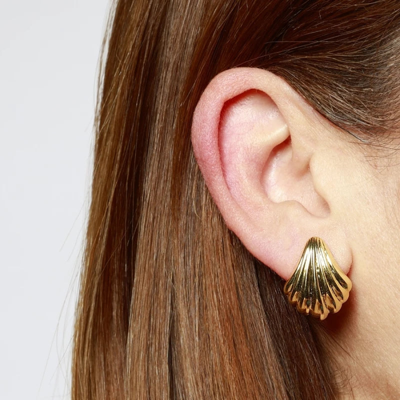 Pendientes concha